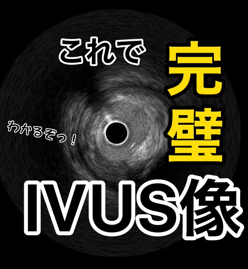 IVUS画像の見方を覚えるエクササイズだ！｜心カテブートキャンプ