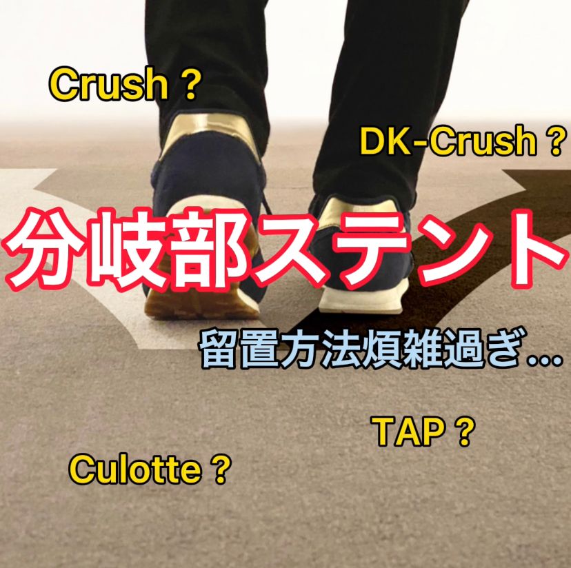 分岐部病変に対するステント留置法 T-stent? Crush? Culotte? | カテっ  